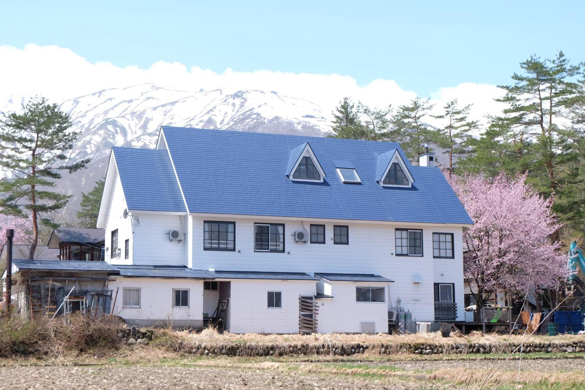 Hakuba Snow Fox住宿加早餐旅馆 外观 照片